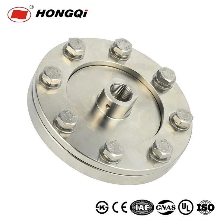 Flange Connection Diaphragm Pressure Gauge, Stainless Steel Construction price