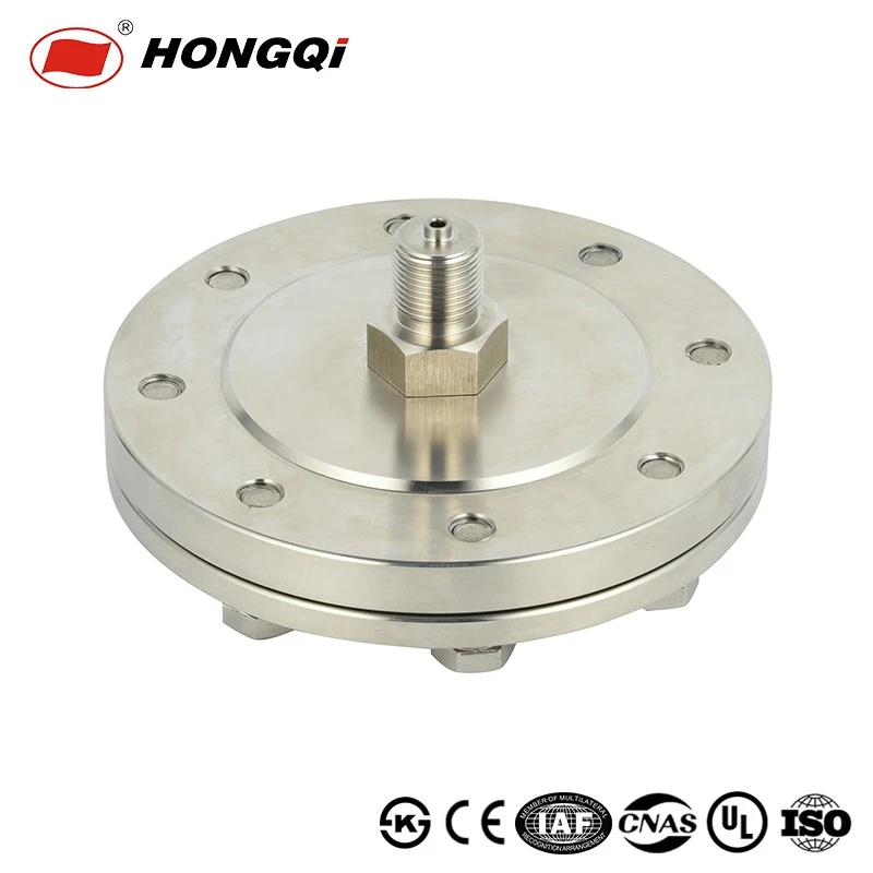 Flange Joint Diaphragm Pressure Gauge price