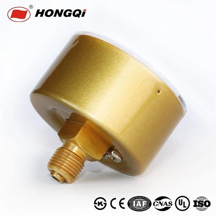 Gold case pressure gauge