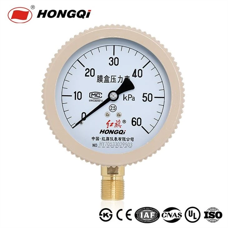 Manòmetre de pressió de càpsula Hongqi Proveïdors famosos a la Xina, Àsia