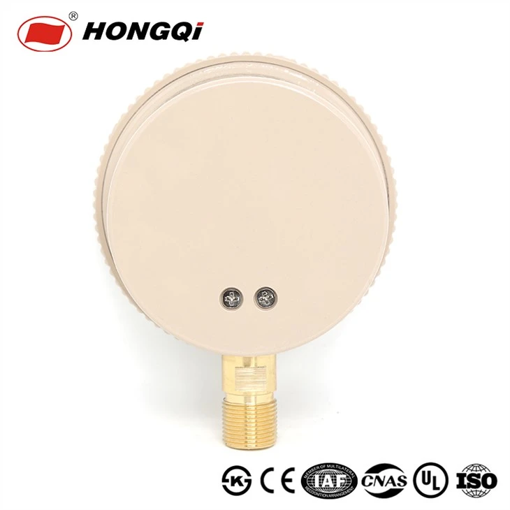Hongqi Capsule Pressure Gauge Famous Suppliers in China, Asian