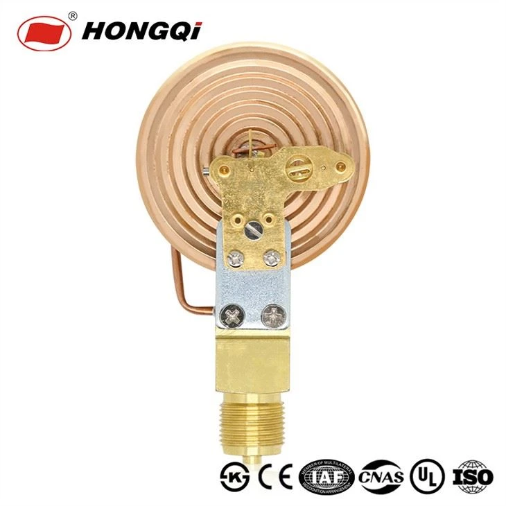 Hongqi Diaphragm Pressure Gauge Measures Micro Pressure